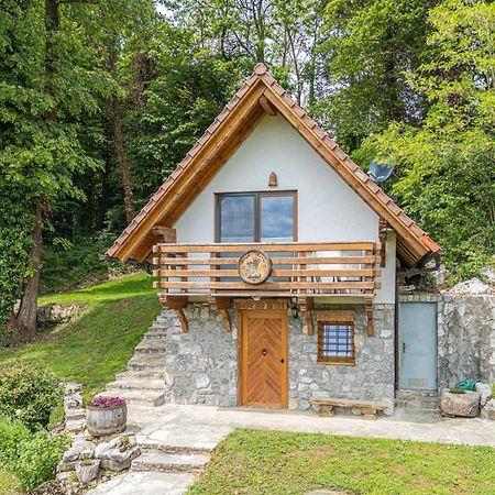 Vineyard Cottage Rataj 2 Ново Место Екстер'єр фото